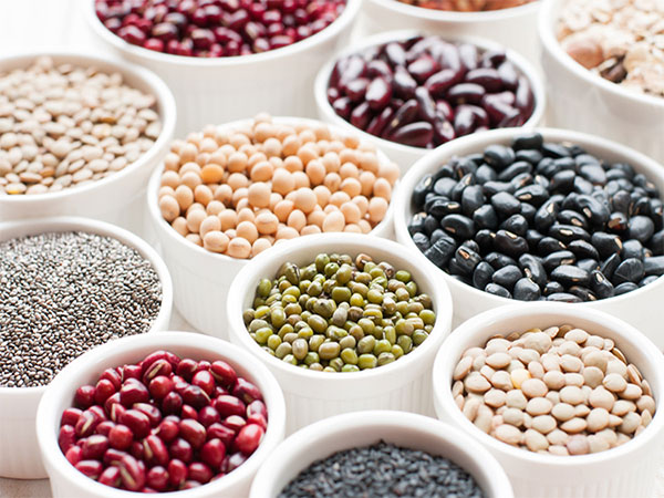 Các loại đậu chứa nhiều protein, carbohydrate phức hợp và các vi chất