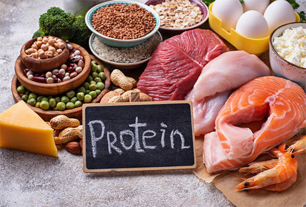 Thực phẩm chứa nhiều Protein