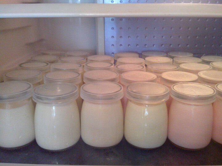 Bảo quản sữa chua đúng cách trong ngăn mát tủ lạnh