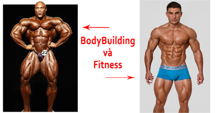 Bodybuilding là gì? Phân biệt Bodybuilding và Fitness khác nhau như nào?