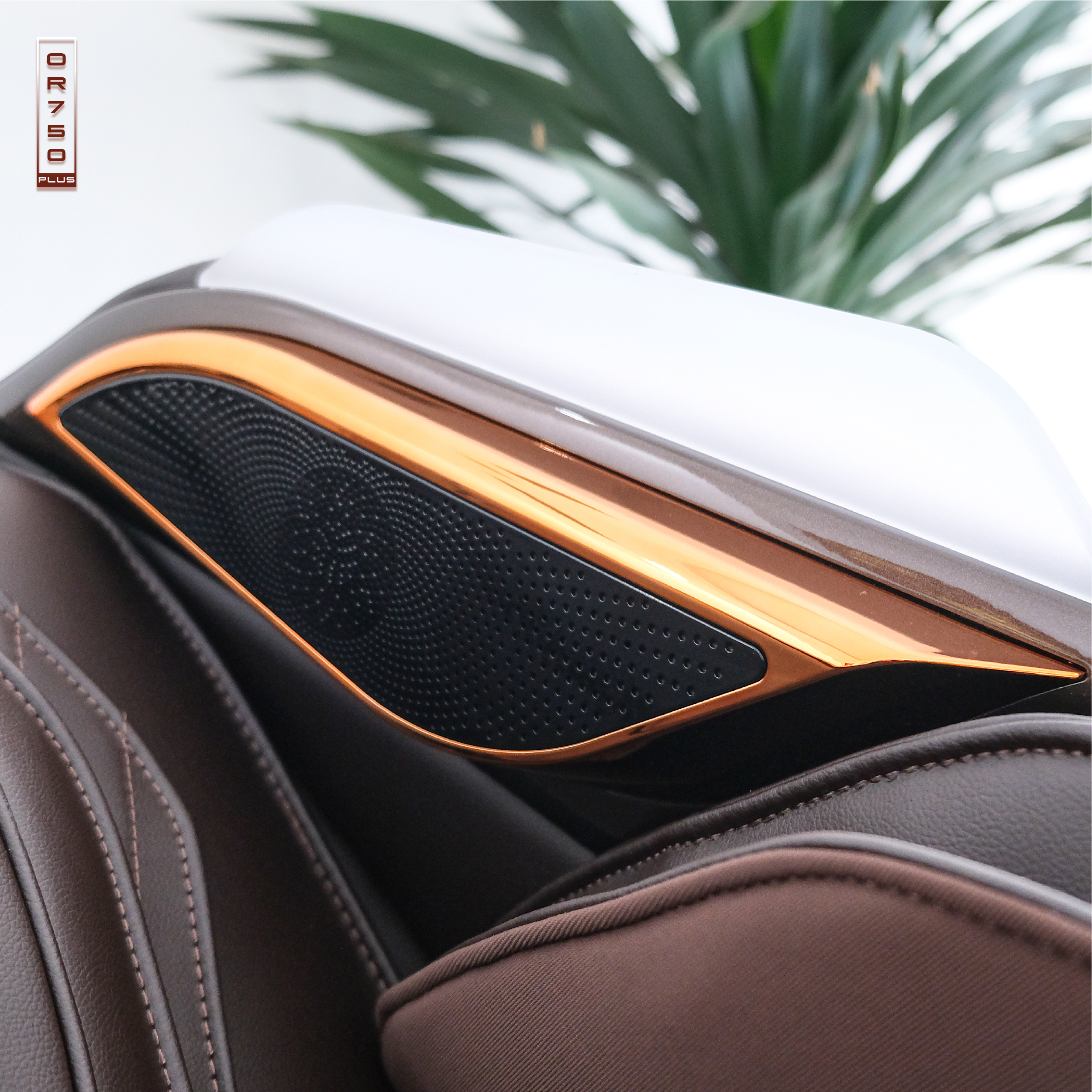 Ghế massage cao cấp Oreni OR-750plus