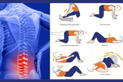 [TOP] 9+ Bài tập thể dục chữa đau lưng tại nhà hiệu quả